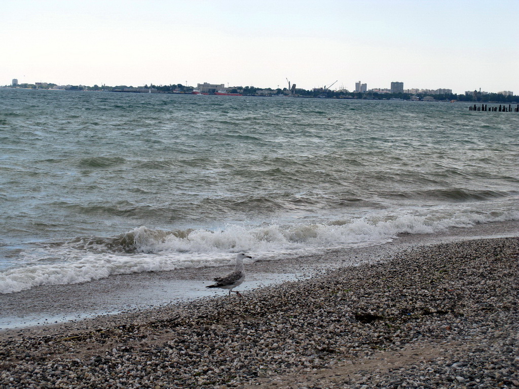 Black Sea Beach Near Evpatoria